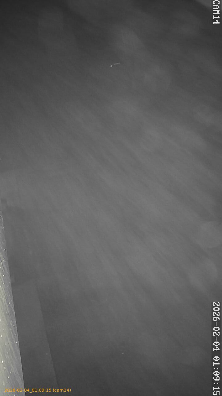 thumbnail_20260204010915