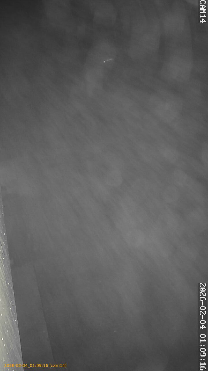 thumbnail_20260204010916