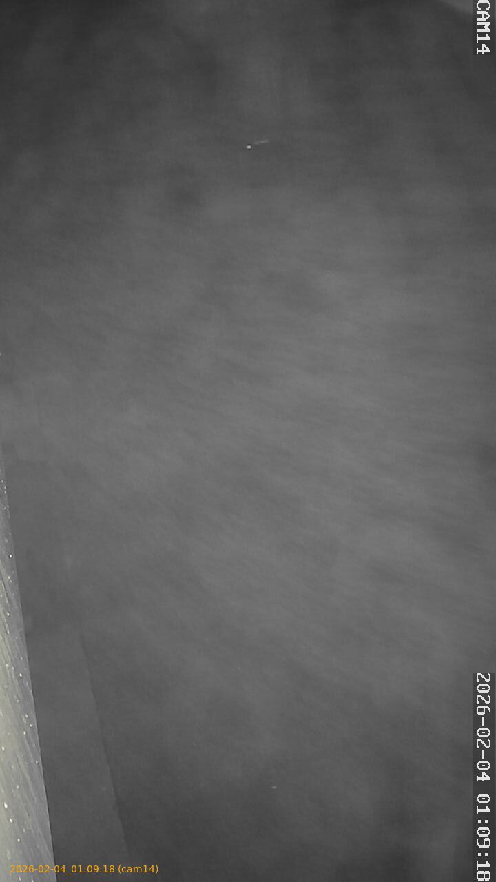 thumbnail_20260204010918