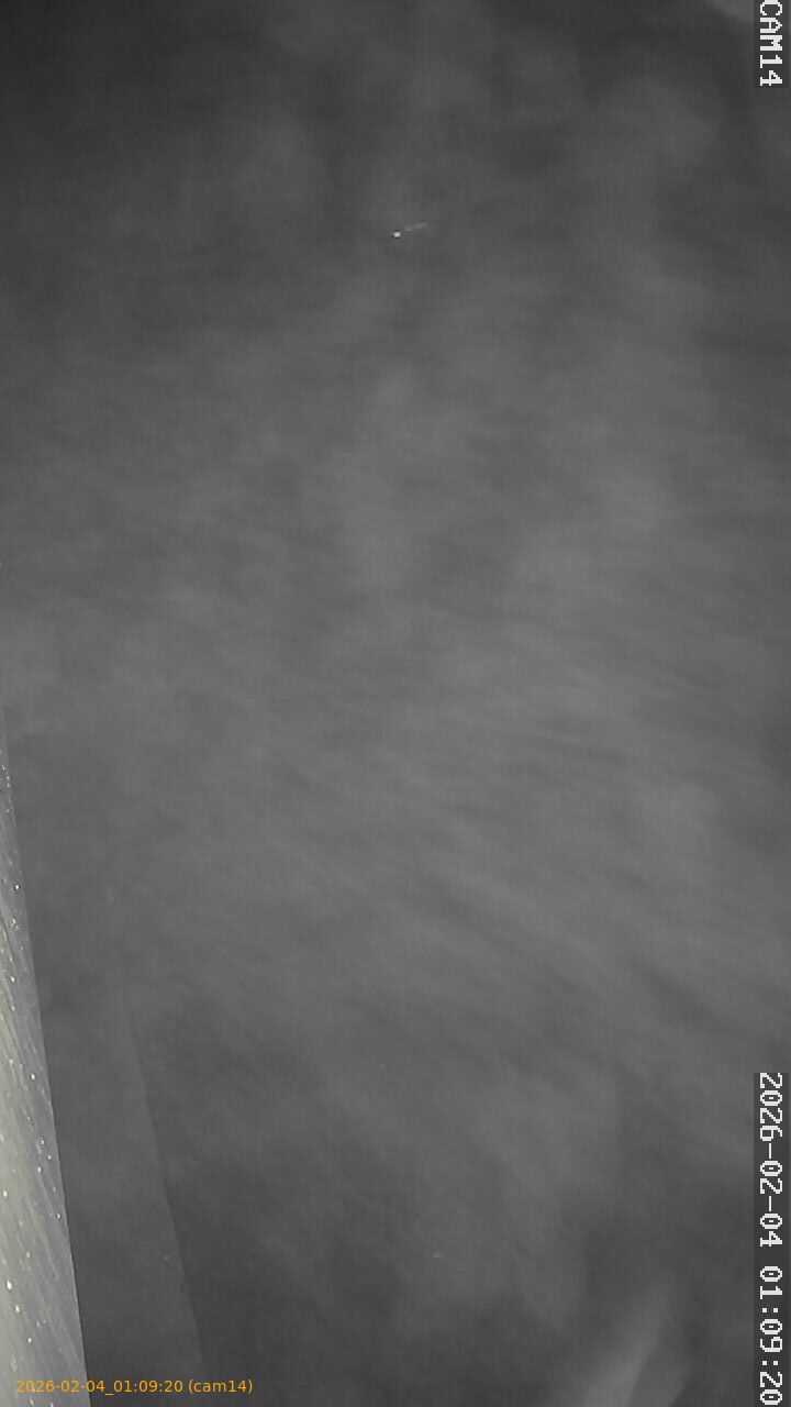 thumbnail_20260204010920