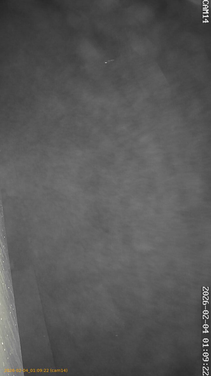 thumbnail_20260204010922