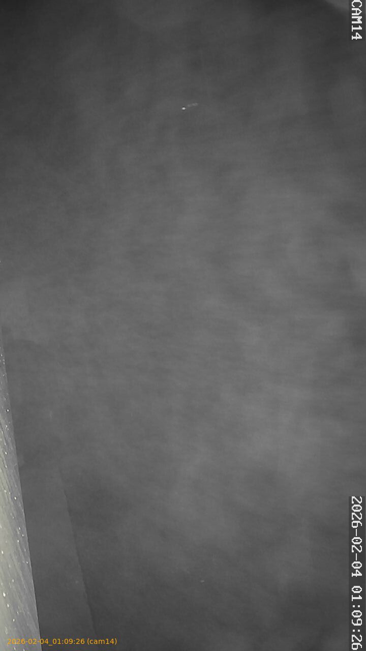 thumbnail_20260204010926