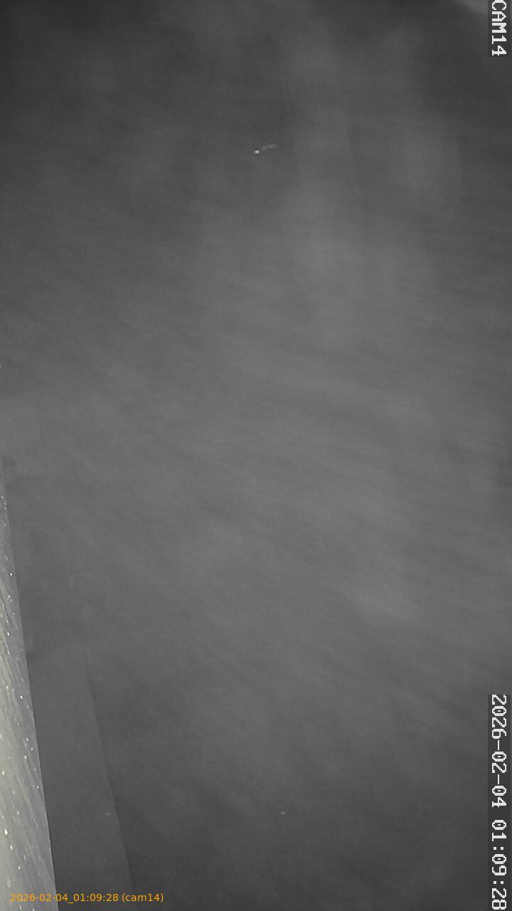 thumbnail_20260204010928