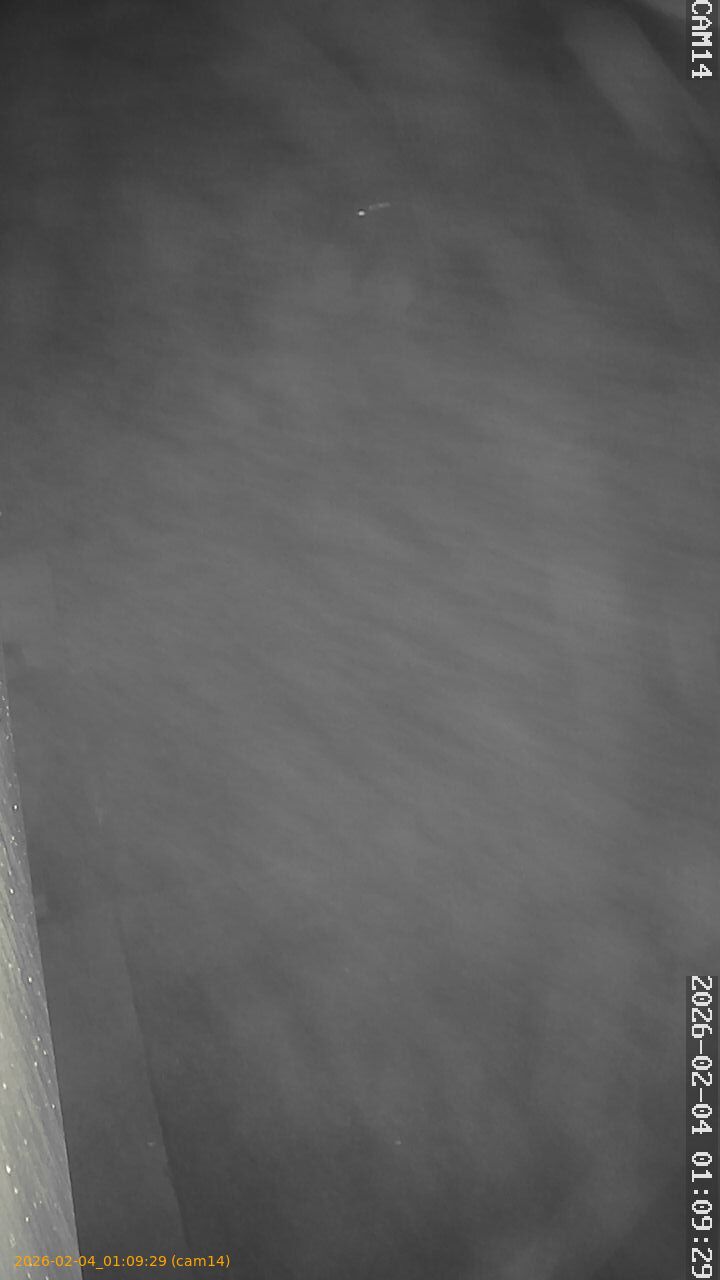 thumbnail_20260204010929