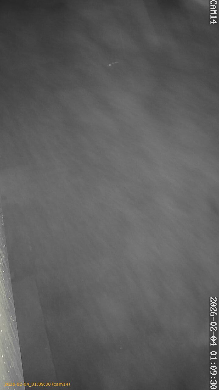 thumbnail_20260204010930