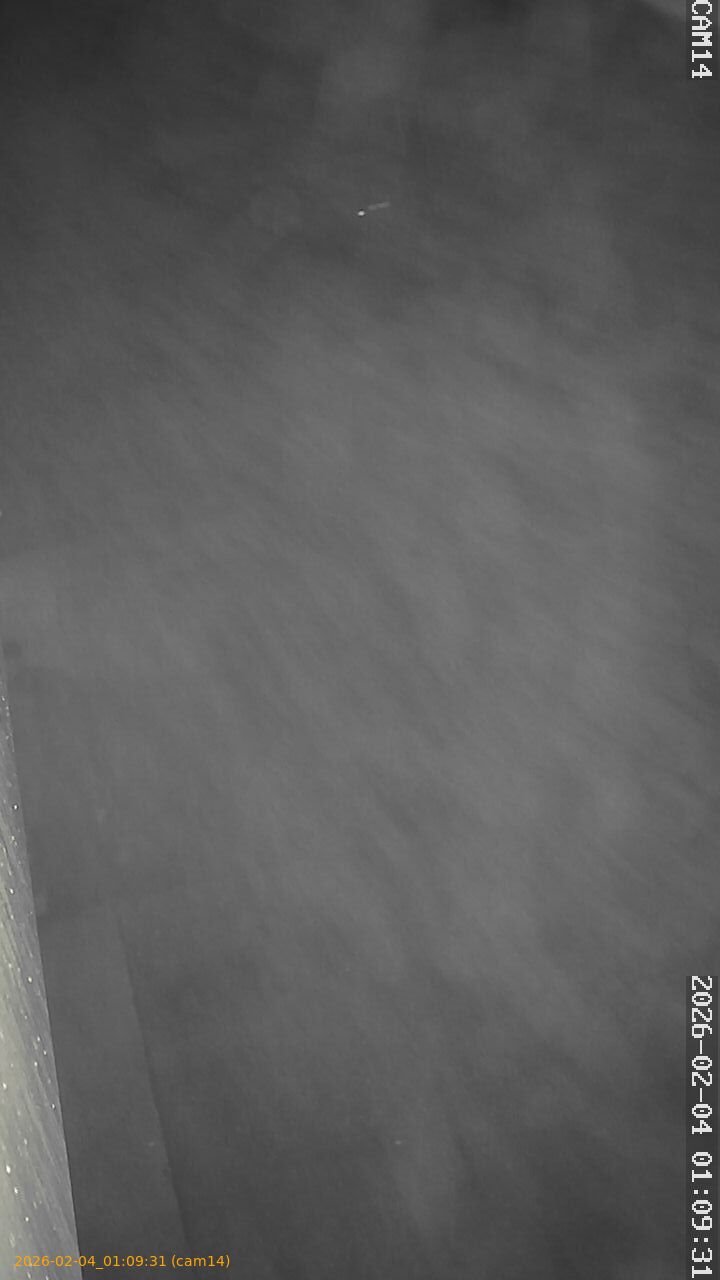 thumbnail_20260204010931