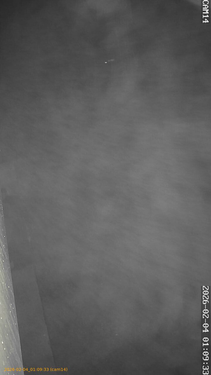 thumbnail_20260204010933