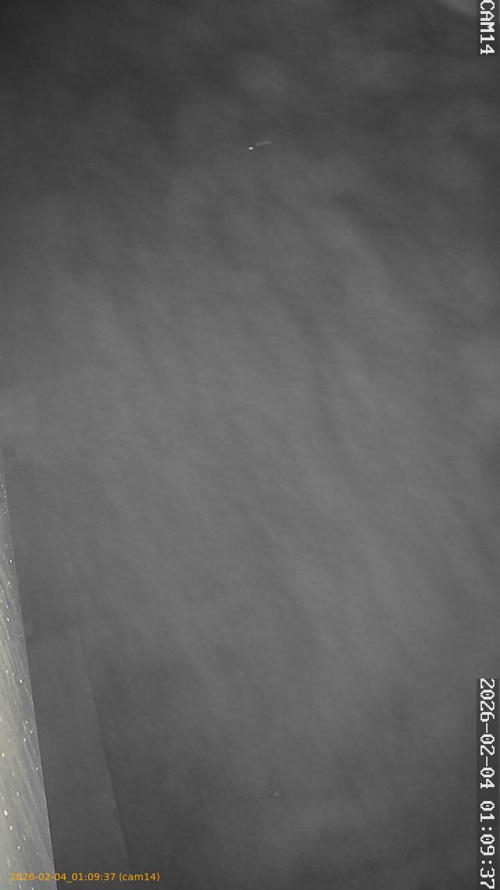 thumbnail_20260204010937