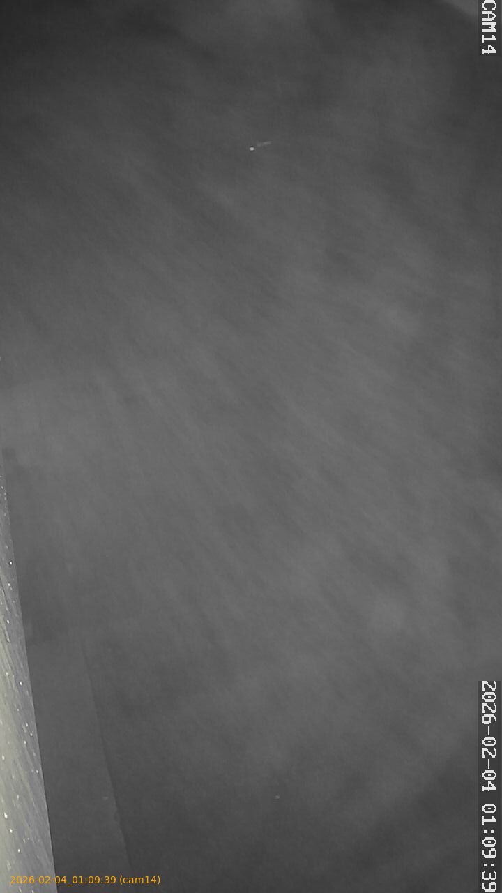 thumbnail_20260204010939