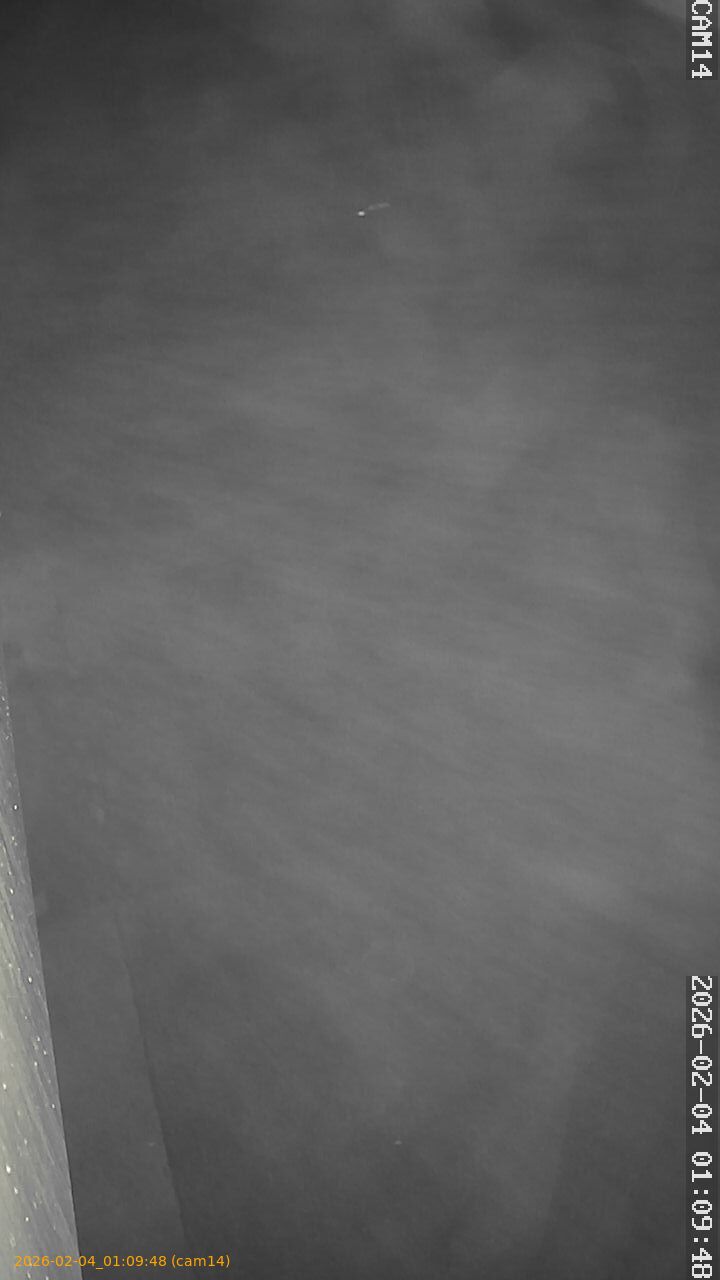 thumbnail_20260204010948