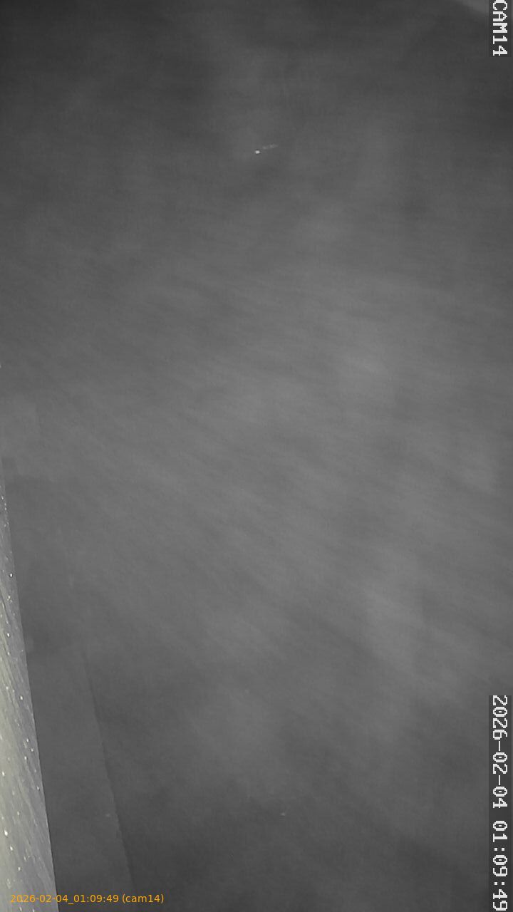 thumbnail_20260204010949