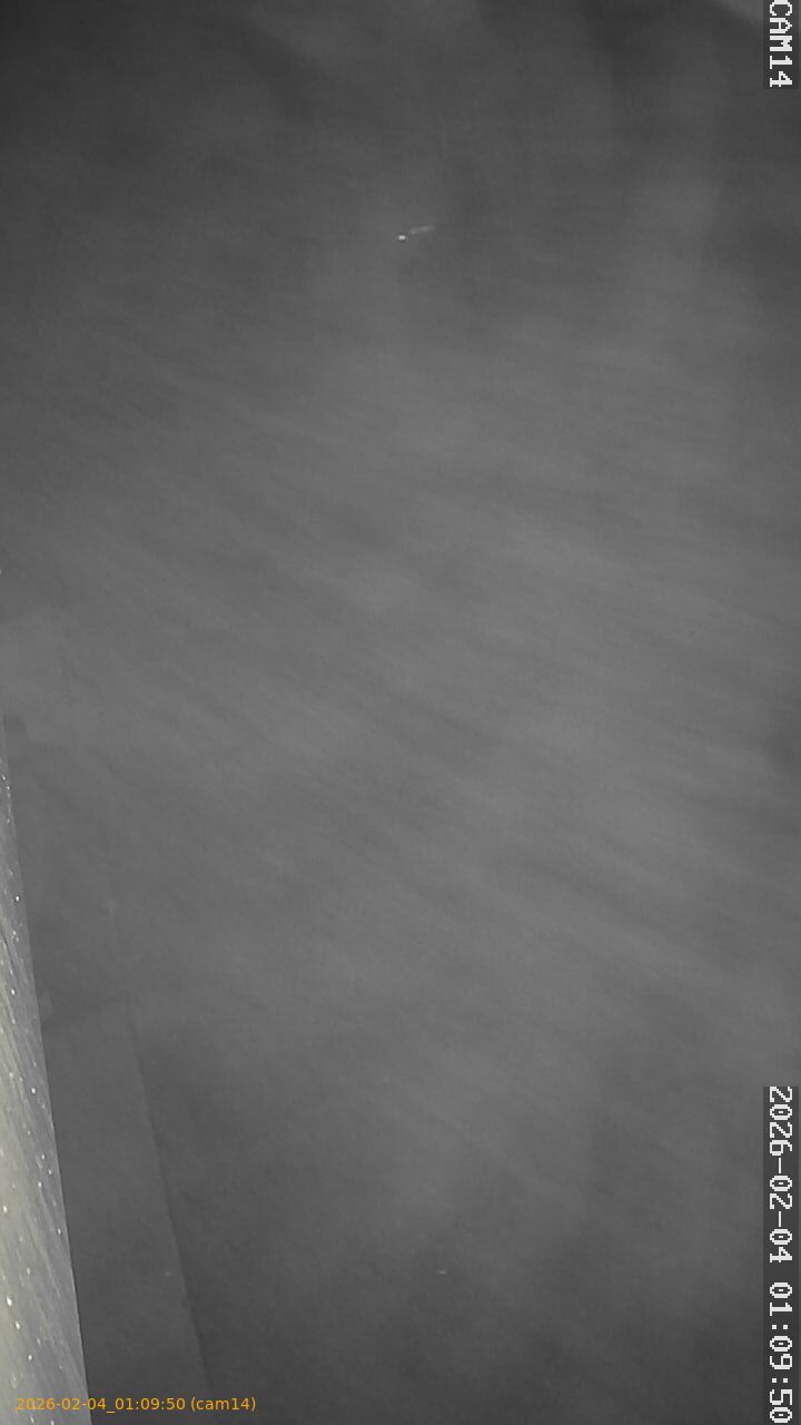 thumbnail_20260204010950