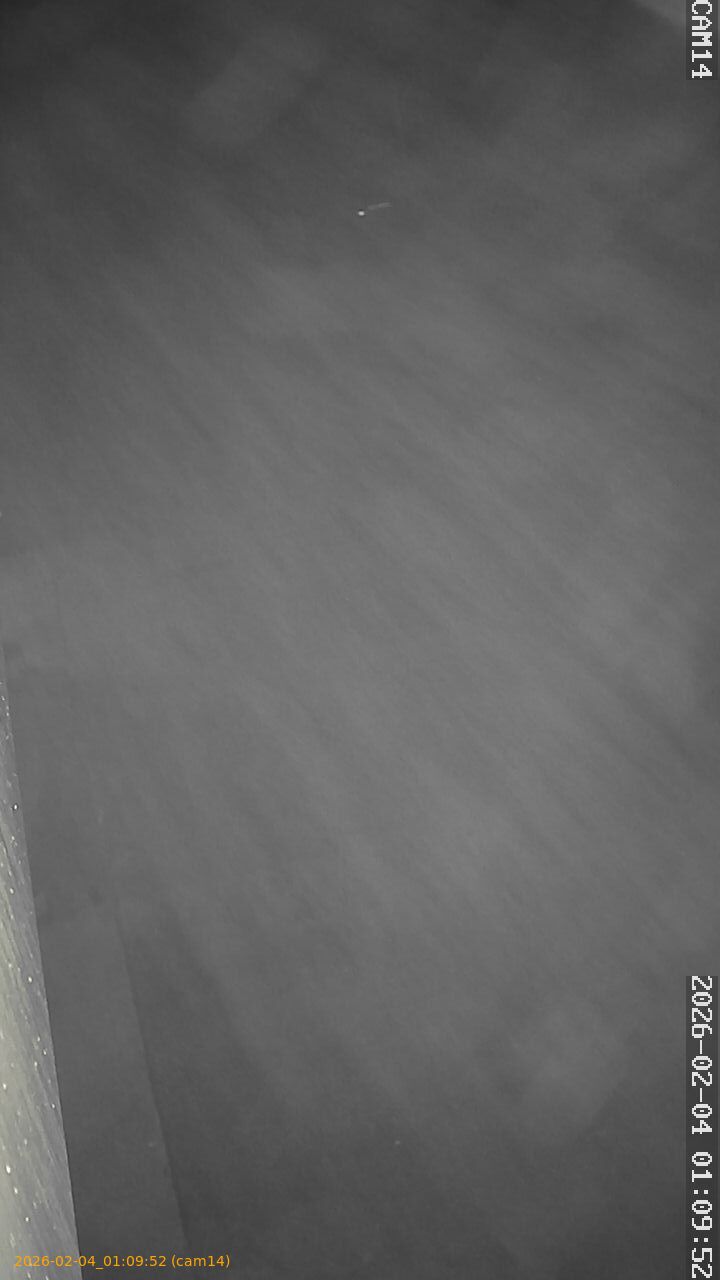 thumbnail_20260204010952