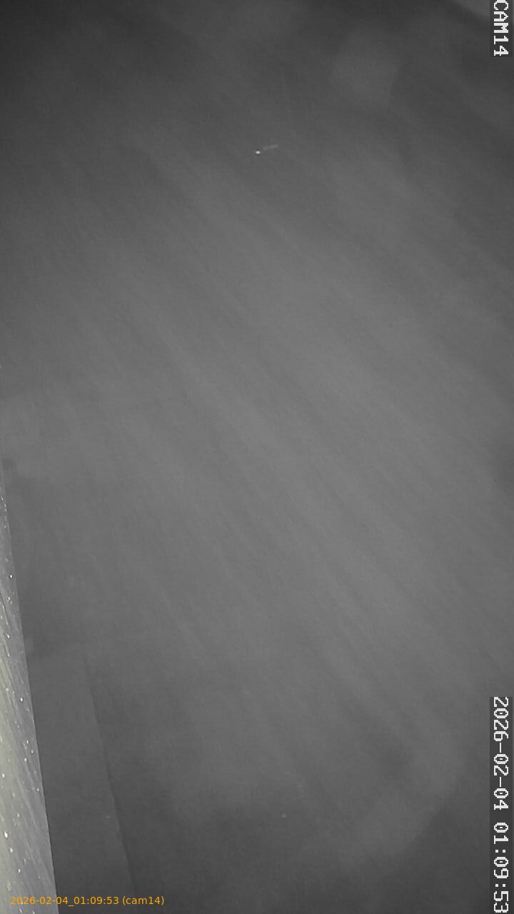 thumbnail_20260204010953