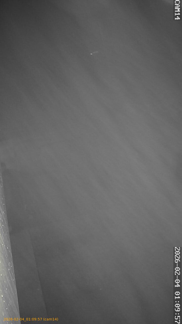 thumbnail_20260204010957