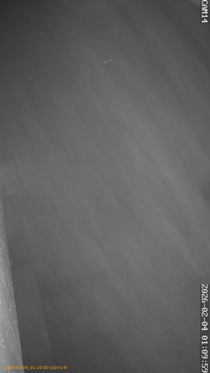 thumbnail_20260204011000