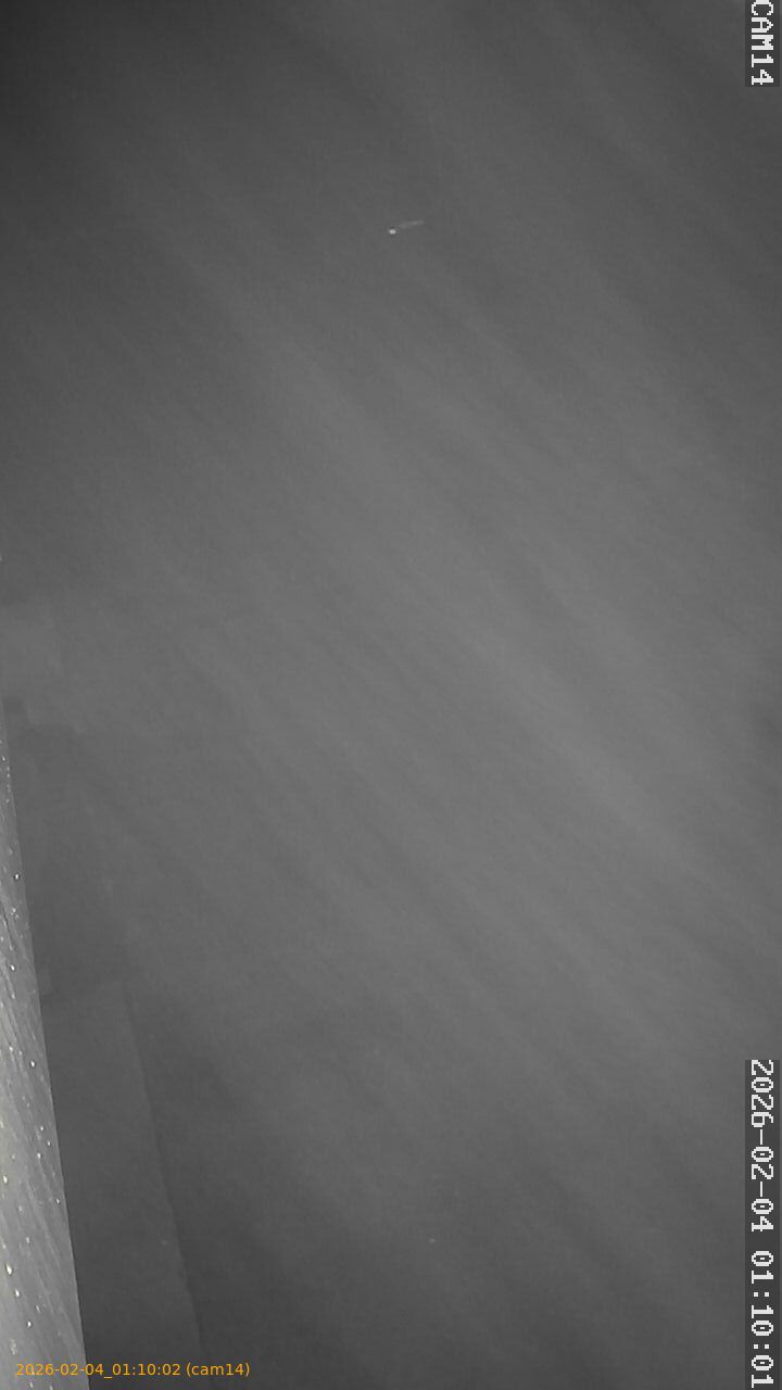 thumbnail_20260204011002