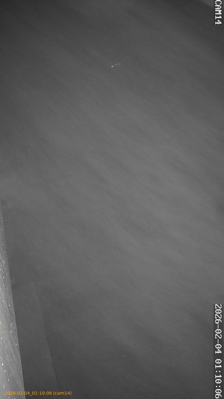 thumbnail_20260204011006