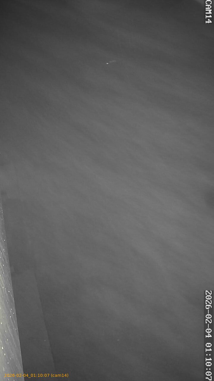 thumbnail_20260204011007