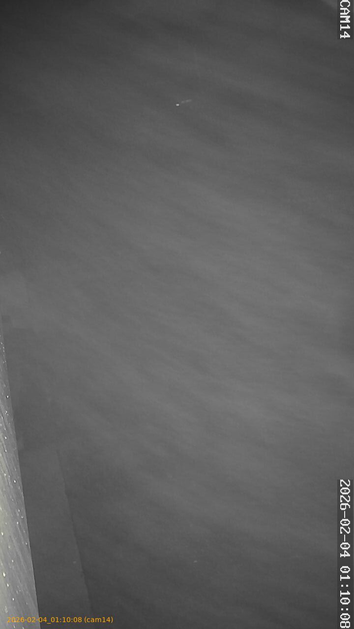 thumbnail_20260204011008