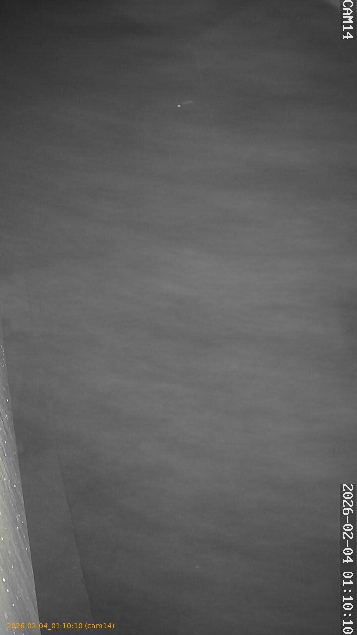 thumbnail_20260204011010