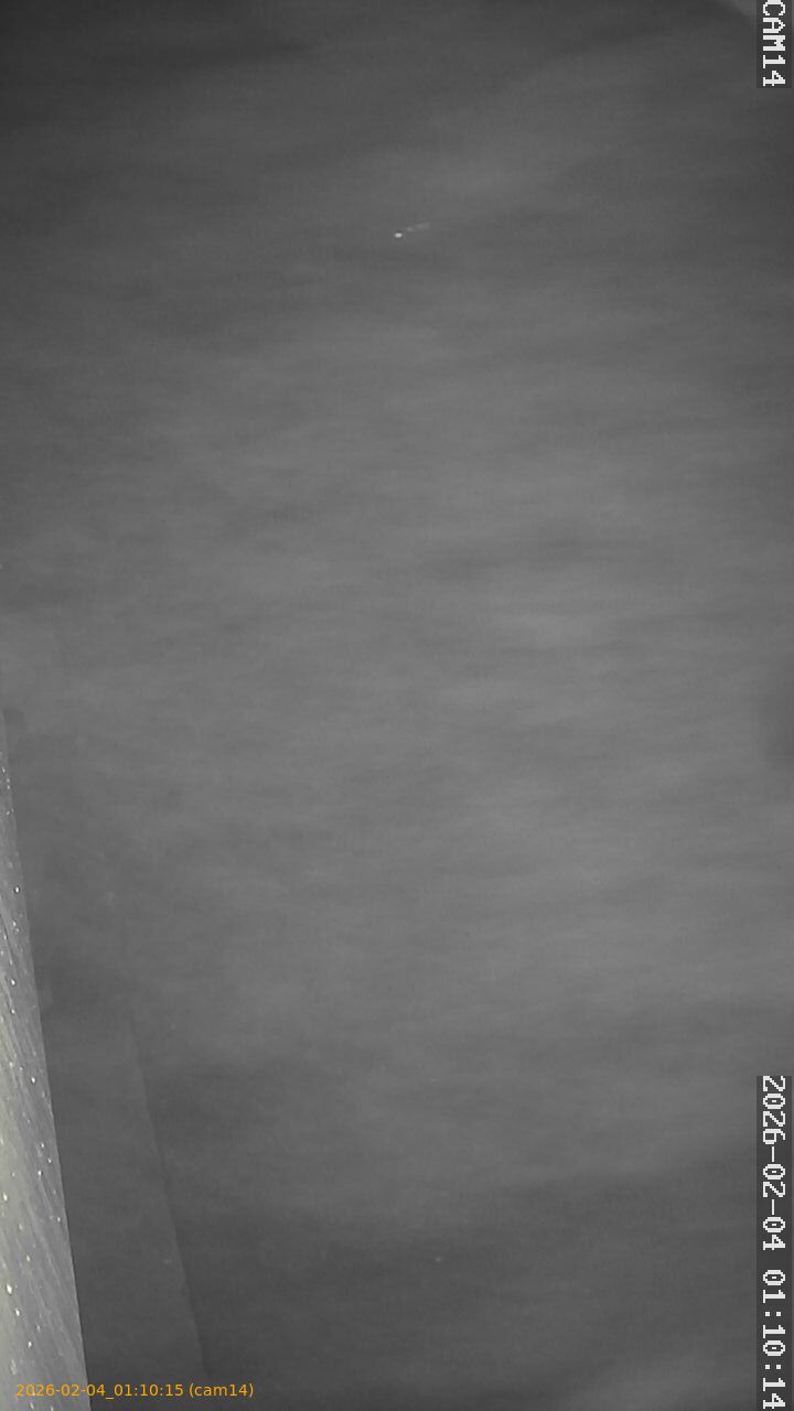 thumbnail_20260204011015