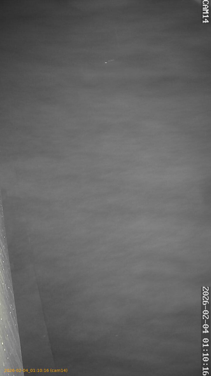 thumbnail_20260204011016