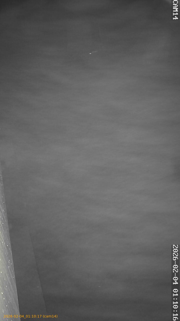 thumbnail_20260204011017