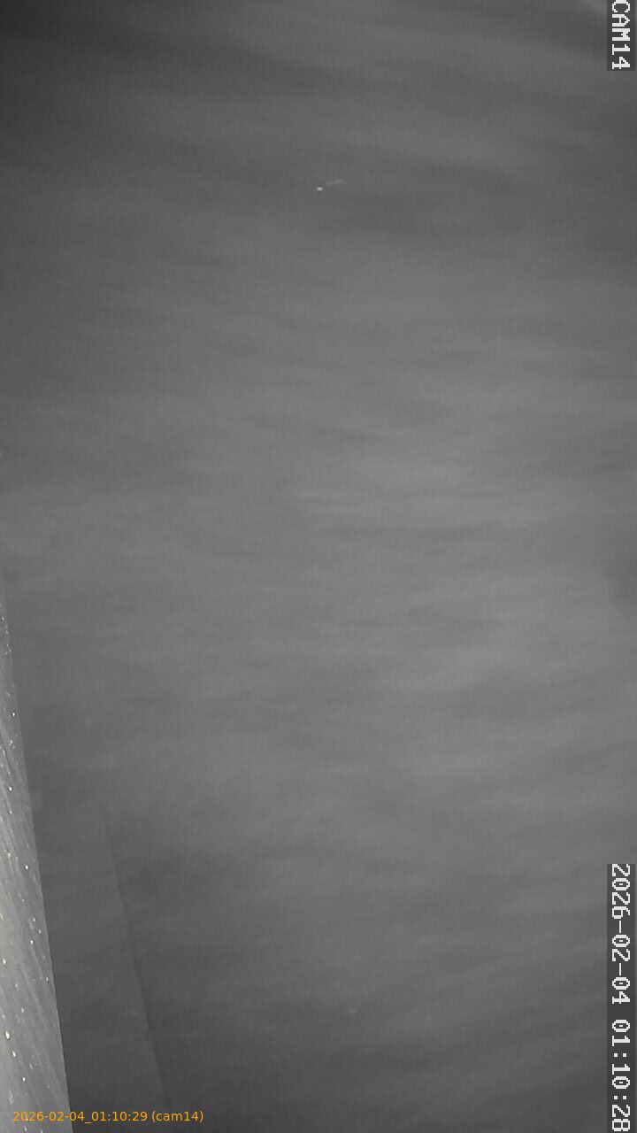 thumbnail_20260204011029