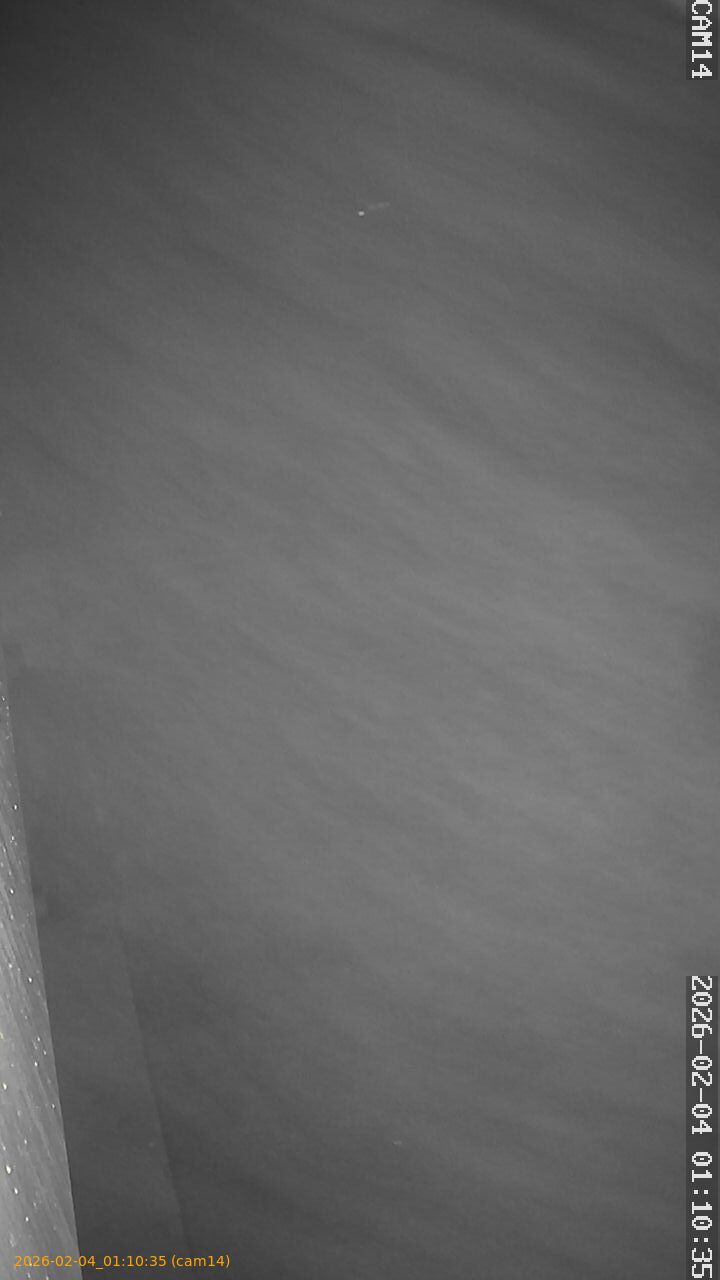 thumbnail_20260204011035