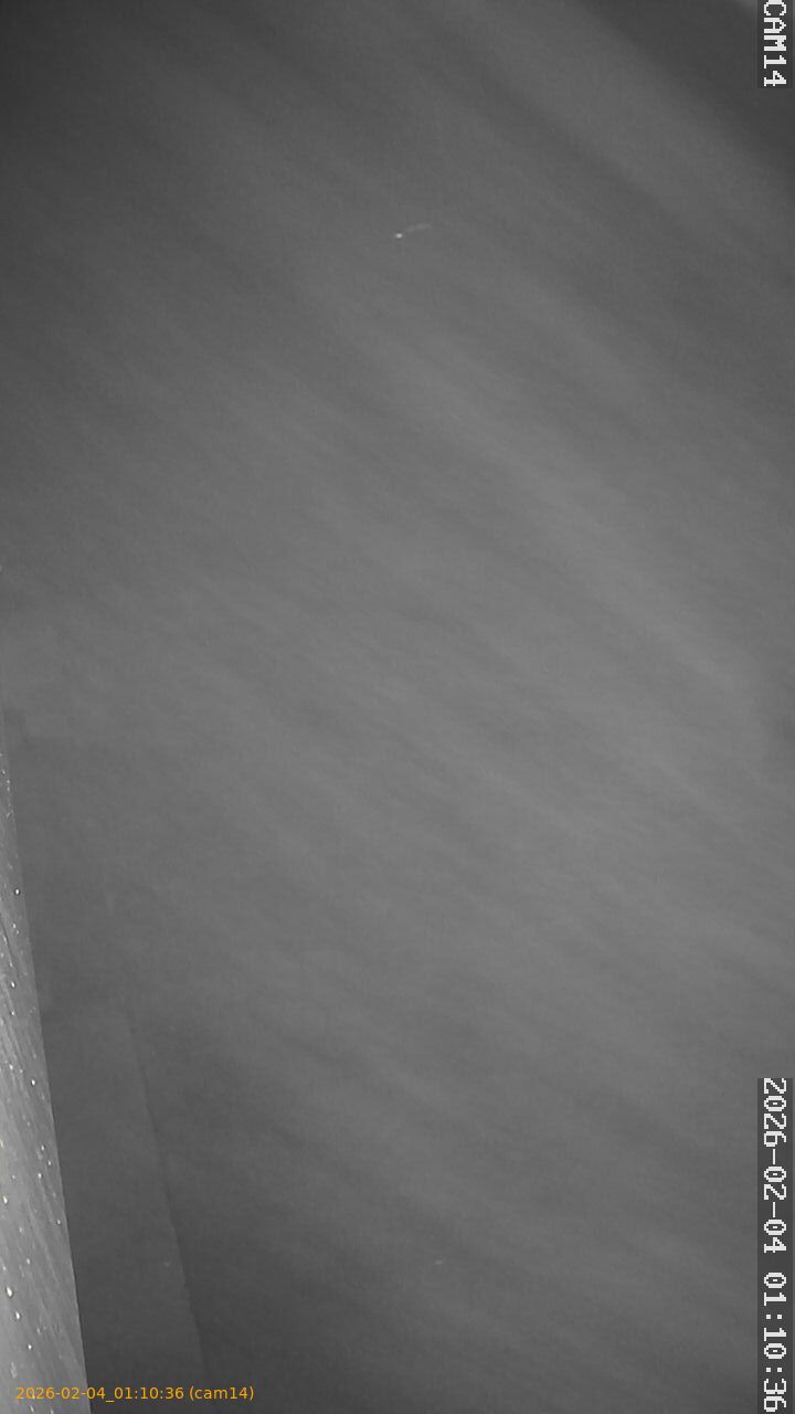 thumbnail_20260204011036