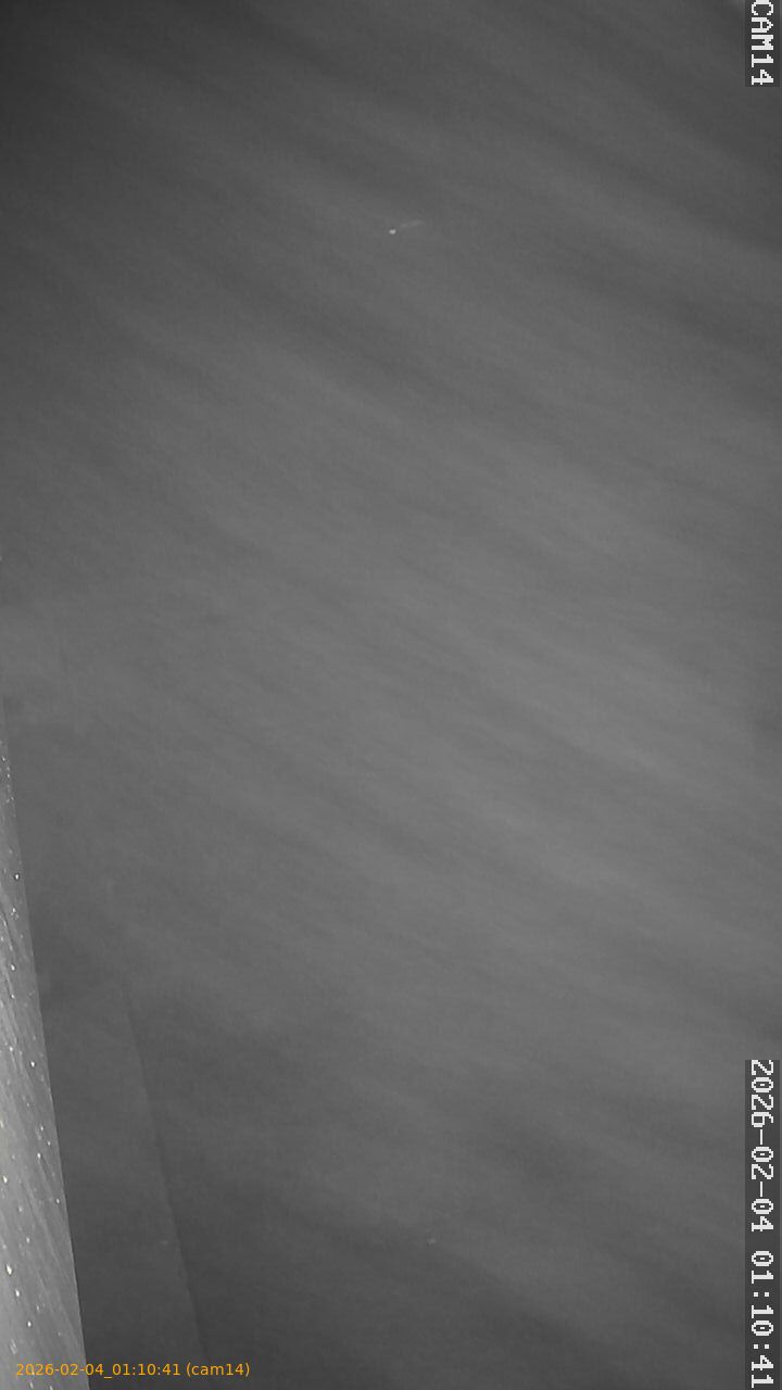 thumbnail_20260204011041