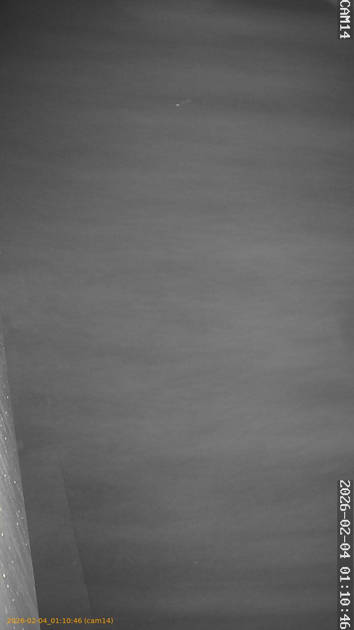 thumbnail_20260204011046