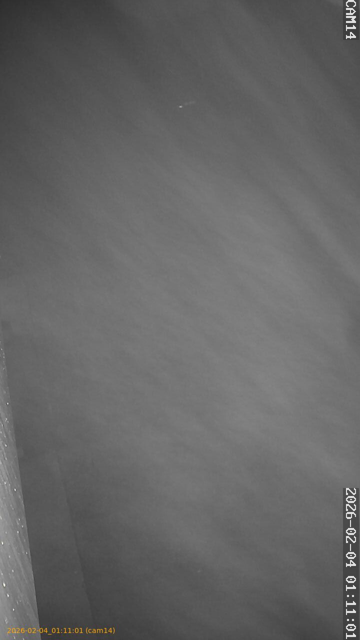 thumbnail_20260204011101