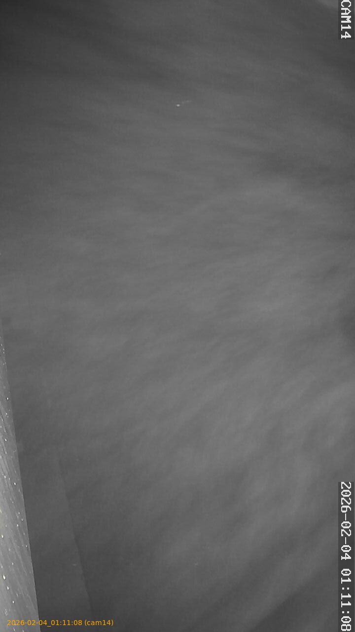 thumbnail_20260204011108