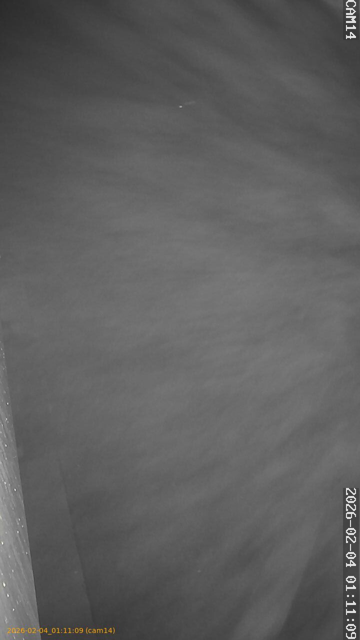 thumbnail_20260204011109