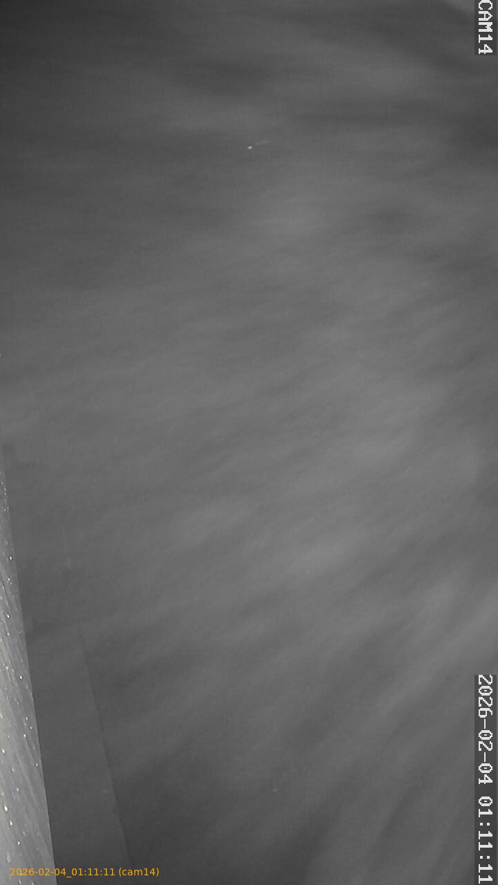 thumbnail_20260204011111