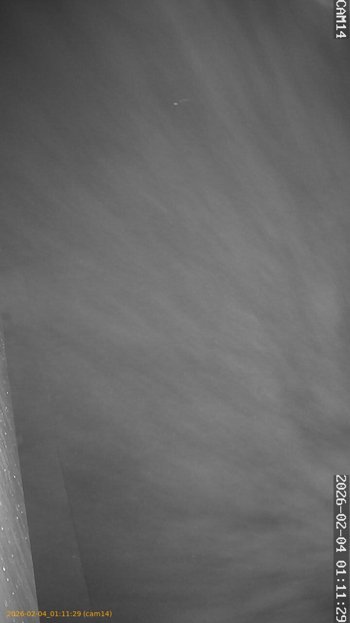 thumbnail_20260204011129