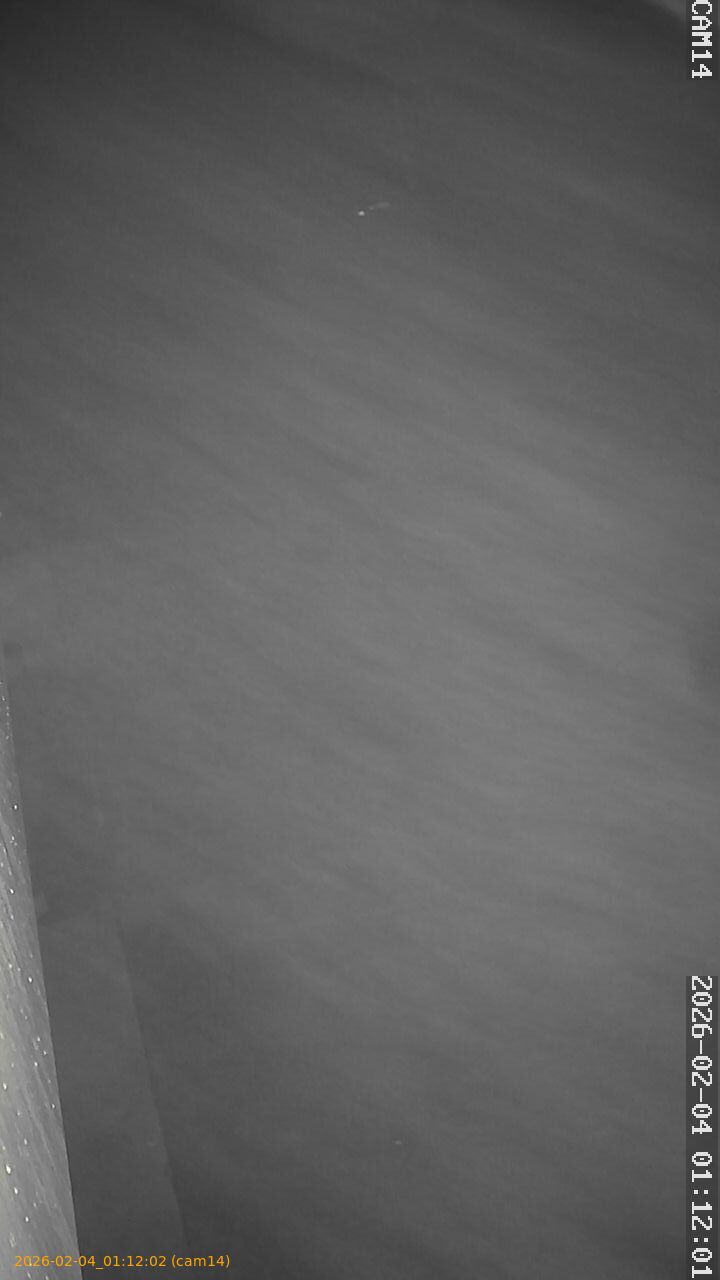 thumbnail_20260204011202