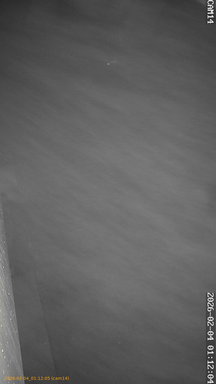 thumbnail_20260204011205