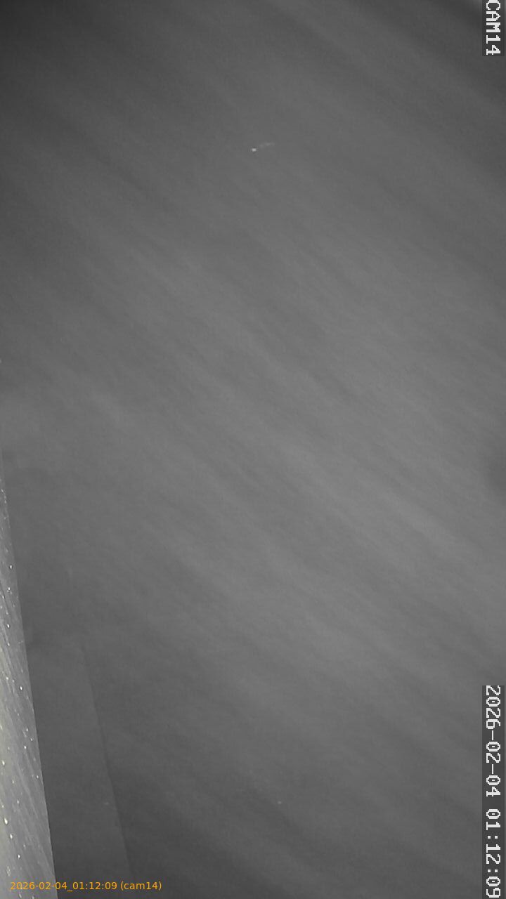 thumbnail_20260204011209