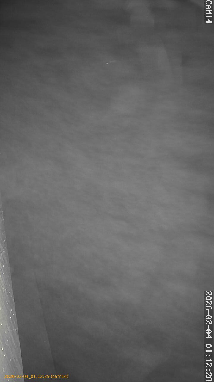 thumbnail_20260204011229