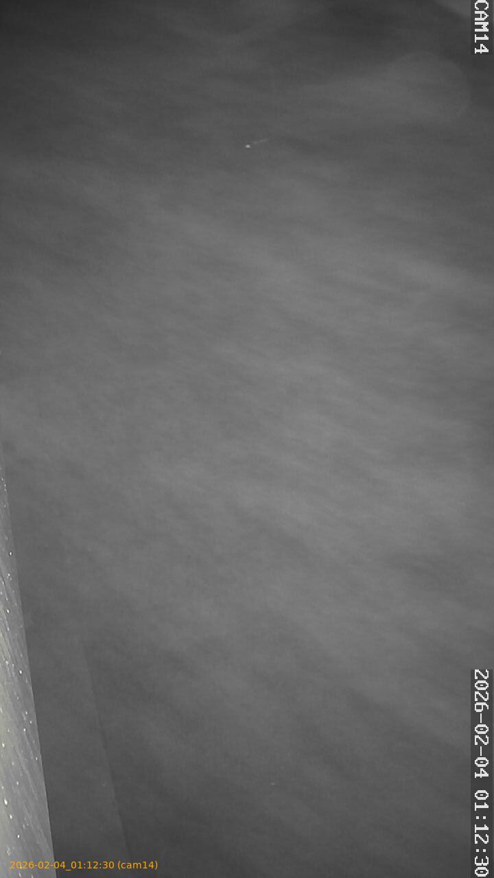 thumbnail_20260204011230