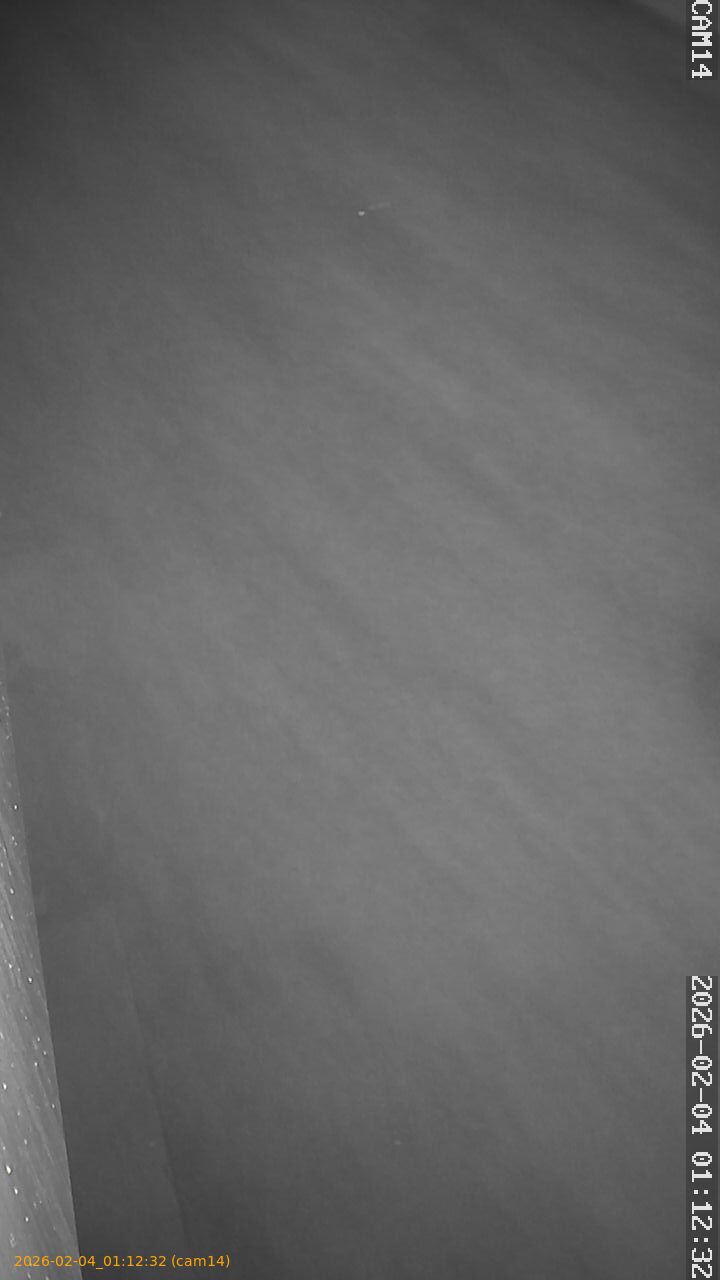 thumbnail_20260204011232