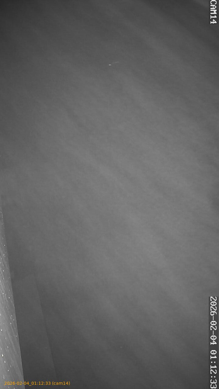 thumbnail_20260204011233