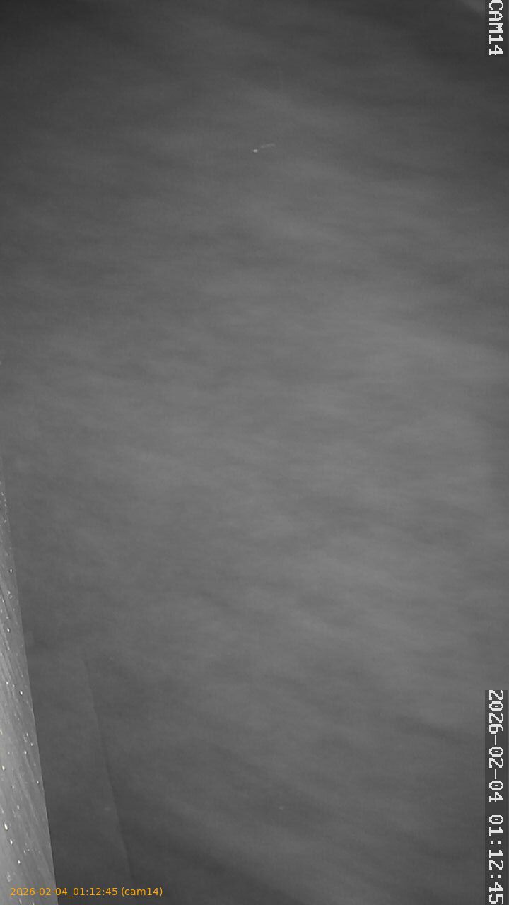 thumbnail_20260204011245