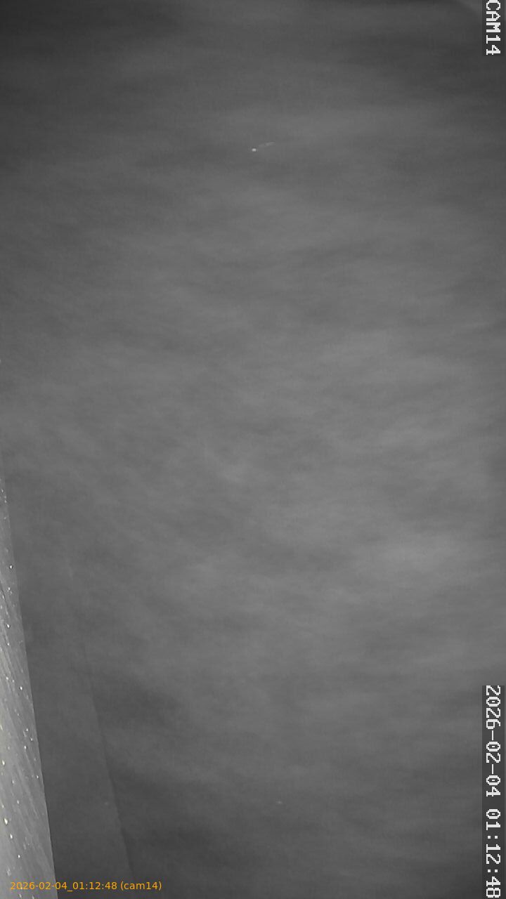 thumbnail_20260204011248