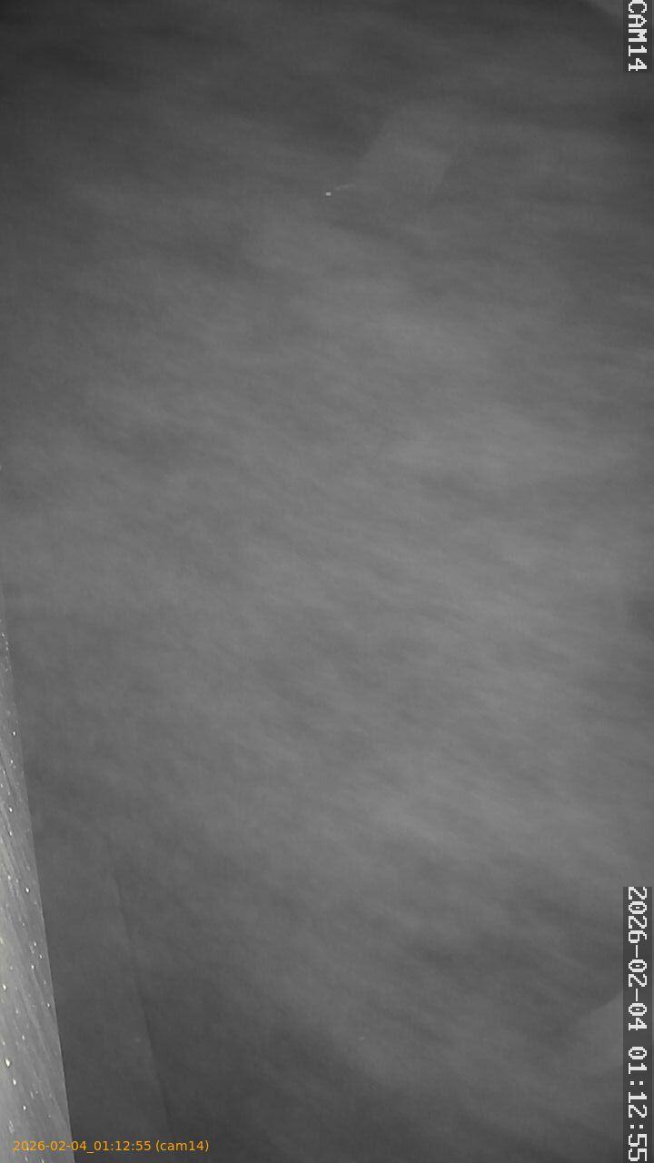 thumbnail_20260204011255