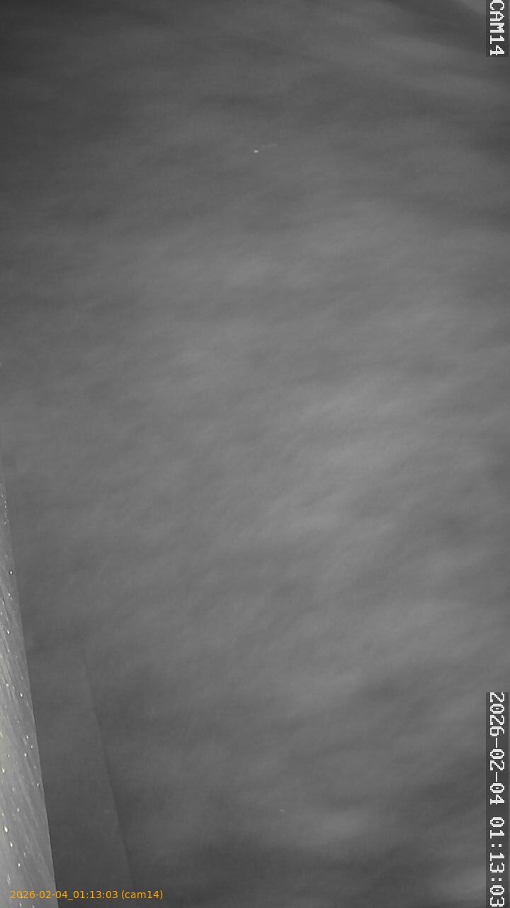 thumbnail_20260204011303