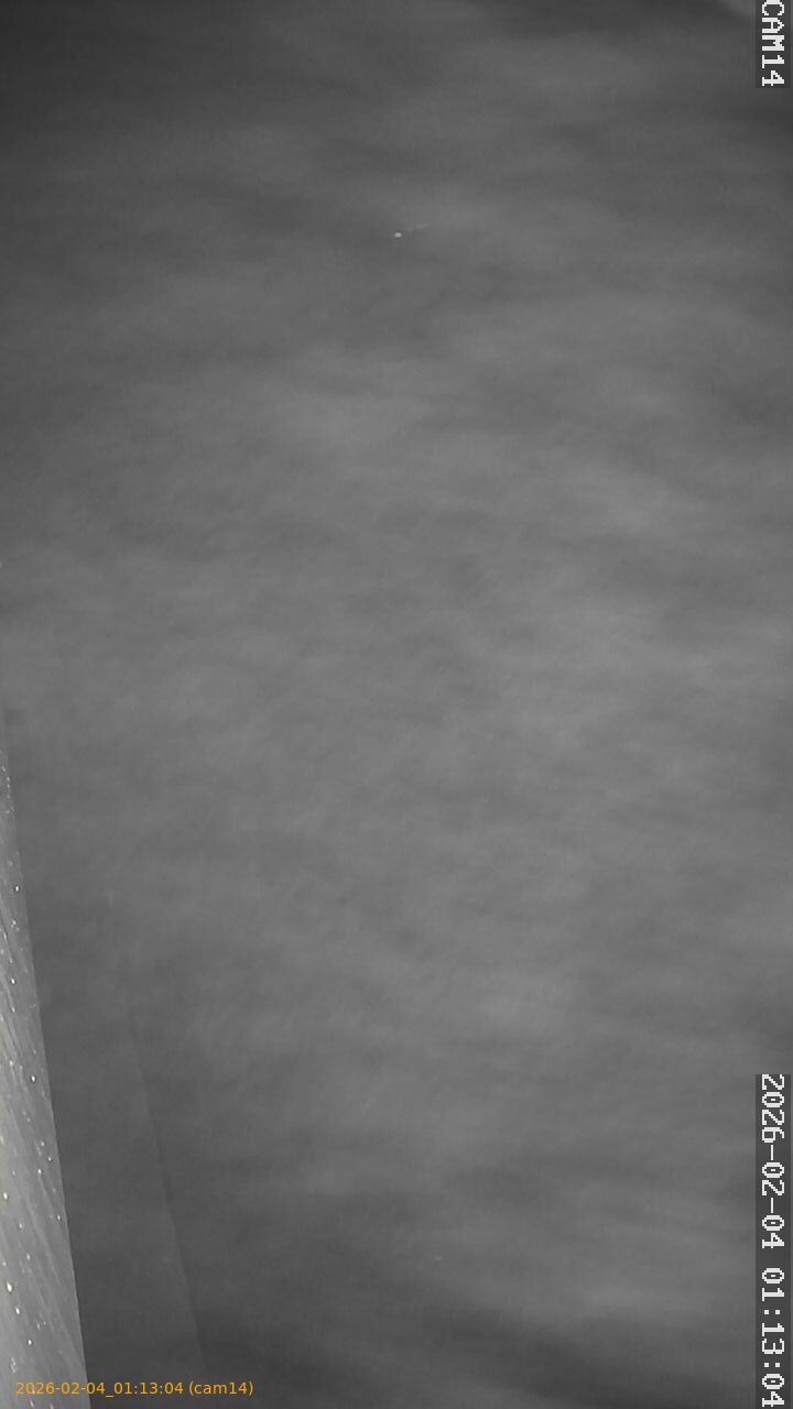 thumbnail_20260204011304